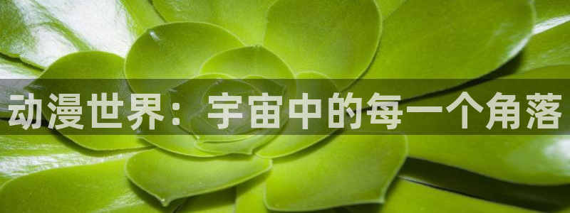 哈哩哈哩官网_ _halihali