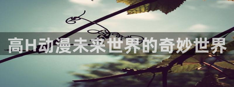 哈哩哈哩热门动漫有哪些：高H动漫未来世界的奇妙世界