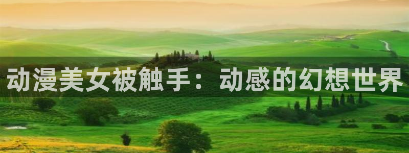 halihali哈哩哈哩官网