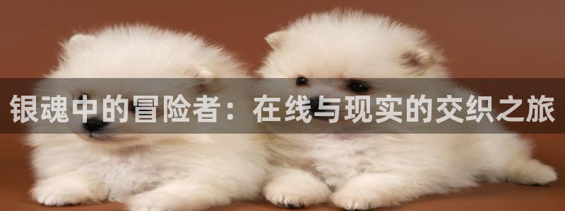 哈哩哈哩官网_halihali免费观看：银魂中的冒险者：在线与现实的交织之旅